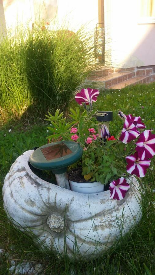 شقة Porat House زلاكاروس المظهر الخارجي الصورة